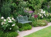 An open garden event is being held on Sunday at Great hale for the National Garden Scheme.
