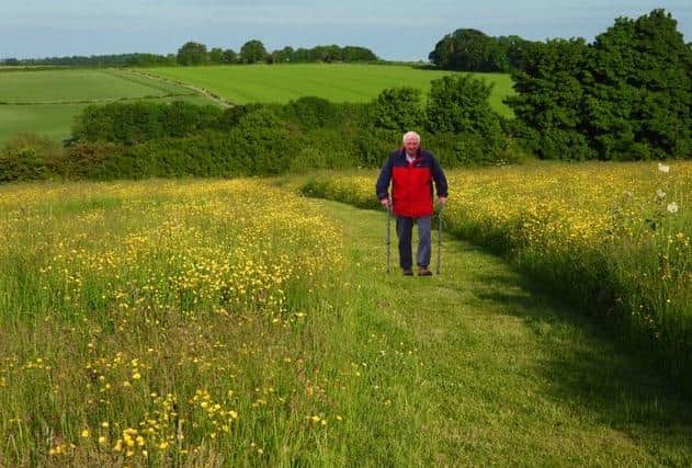 Barry Jordan getting his steps in through the wonderful Wolds countryside around his Swinhope home.
Photo: Michael A V Edwards