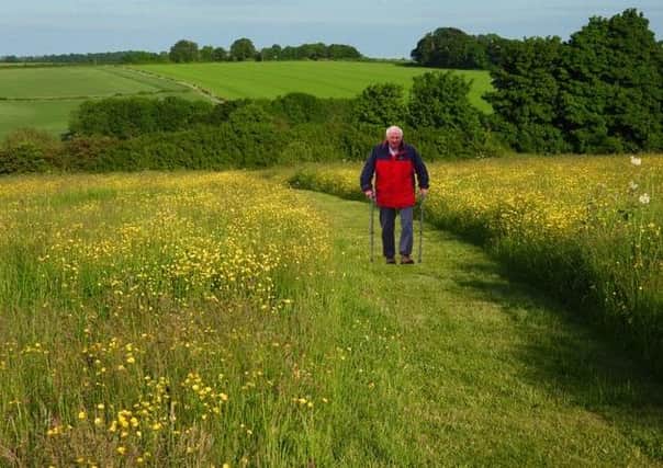 Barry Jordan getting his steps in through the wonderful Wolds countryside around his Swinhope home.
Photo: Michael A V Edwards