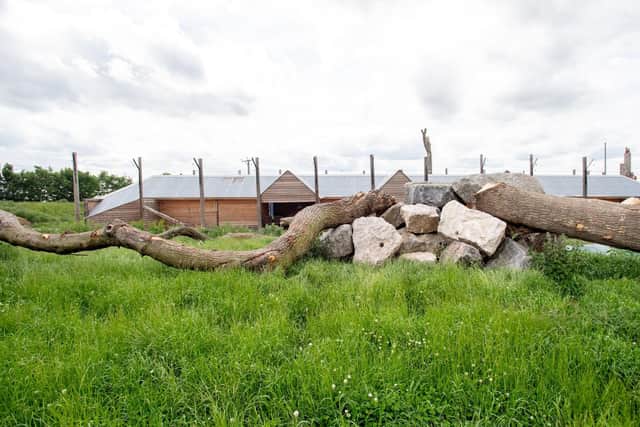 The tiger enclosure.