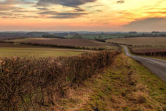 Lincolnshire Wolds stock image. Credit: Shaun Wilkinson.
