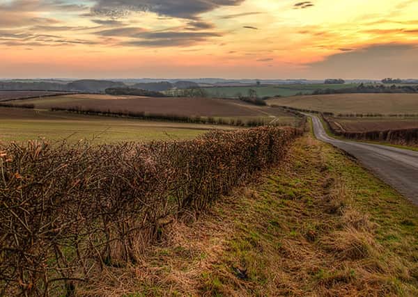 Lincolnshire Wolds stock image. Credit: Shaun Wilkinson.