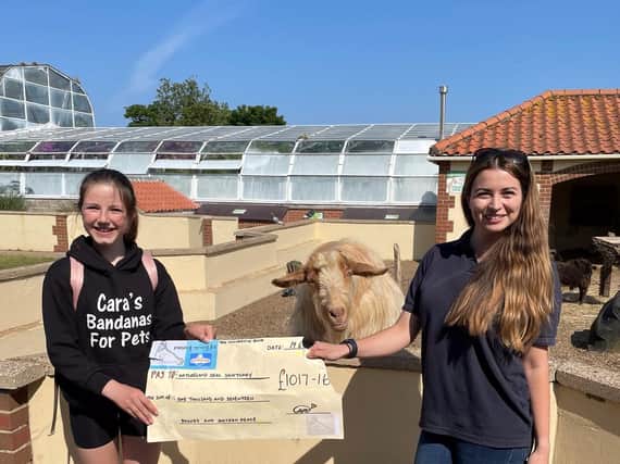 Cara presents her cheque to Natureland director Daisy Yeadon, watched by Henry the goat.