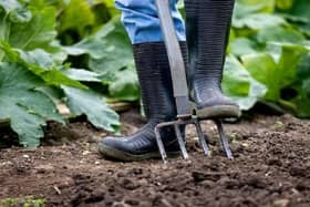 Council leaders are asking residents of Scunthorpe and Ashby for their views on transforming a patch of unused land into urban orchards