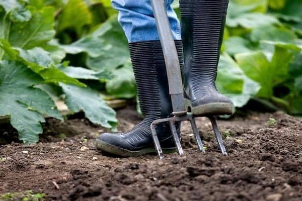 Council leaders are asking residents of Scunthorpe and Ashby for their views on transforming a patch of unused land into urban orchards