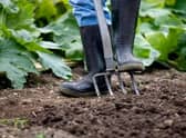Council leaders are asking residents of Scunthorpe and Ashby for their views on transforming a patch of unused land into urban orchards