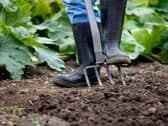 Council leaders are asking residents of Scunthorpe and Ashby for their views on transforming a patch of unused land into urban orchards