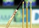 Cricket news. Photo: Getty Images