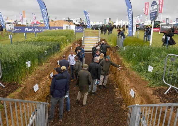 Visitors to Cereals 2021 inspect the 'soil pit' displaying the root systems of crops. EMN-210107-112857001