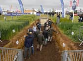Visitors to Cereals 2021 inspect the 'soil pit' displaying the root systems of crops. EMN-210107-112857001