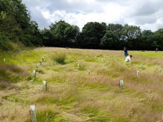 TCV volunteers check on recently planted trees off Collinson Avenue, Scunthorpe (Picture: Kayley Rankin)