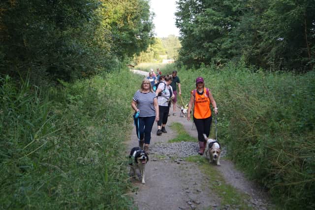 Health and wellbeing for humans and hounds EMN-210726-081525001