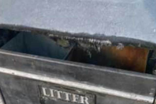 The bin the kittens were left in.