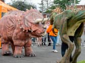Roarsome fun at Rasen races. Photo by John Aron Photography EMN-210208-115436001