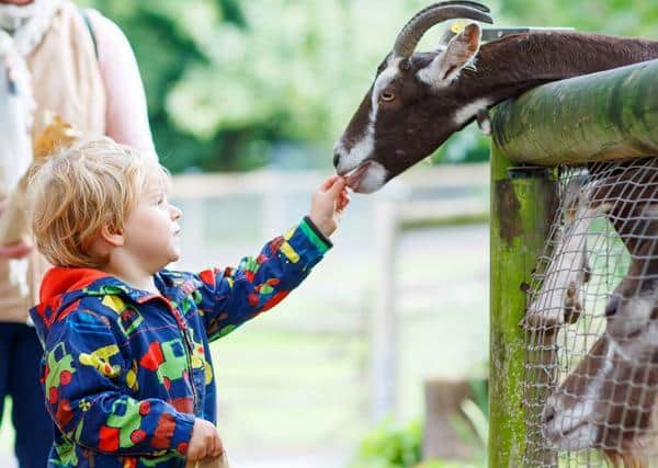 North Lincolnshire Council has worked closely with local tourist attractions to launch a new voucher scheme, which offers discounted passes.