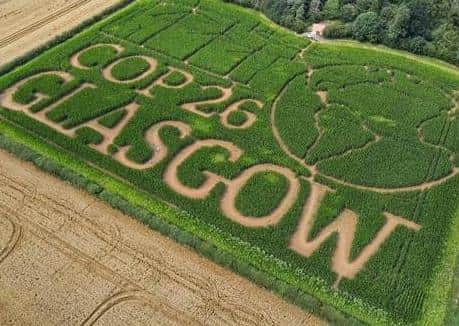 Uncle Henry's Maize Maze EMN-210408-115850001
