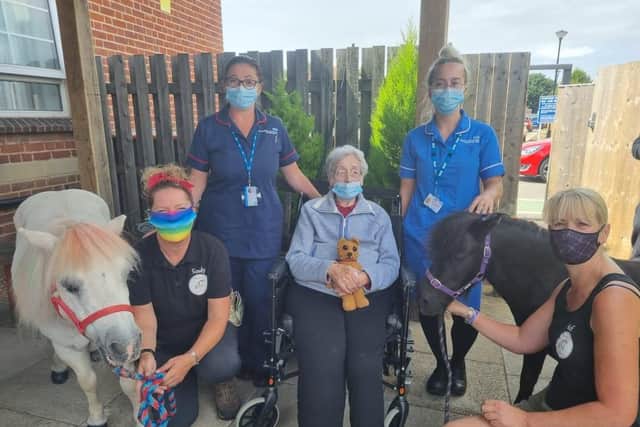 Rainbow Dreaming ponies visiting Scarbrough Ward patients at Skegness Hospital.