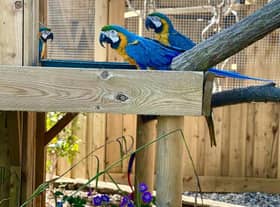 Native wildlife will now also have a safe haven at Lincolnshire Wildlife Park along with the current residents.