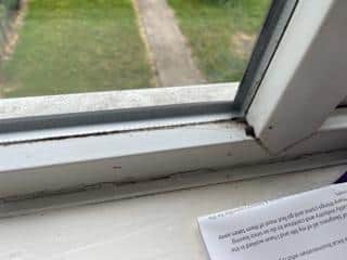 Hollie's mum, Helen, contacted our newspaper after the first property they were offered in Skegness showed more signs of damp.