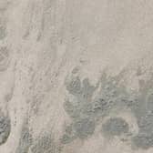 Blue green algae has been located on Sutton-on-Sea beach.