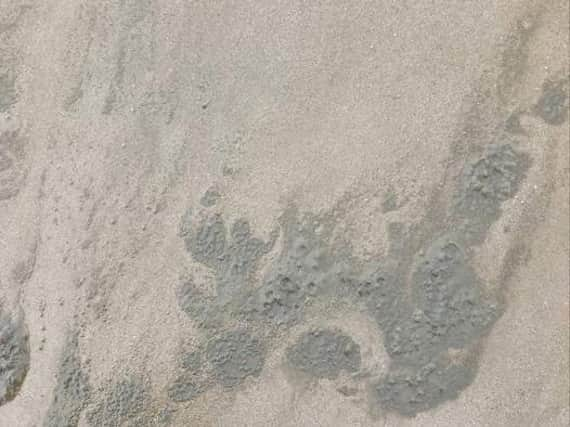 Blue green algae has been located on Sutton-on-Sea beach.