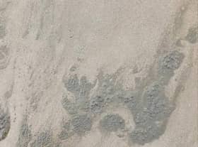 Blue green algae has been located on Sutton-on-Sea beach.