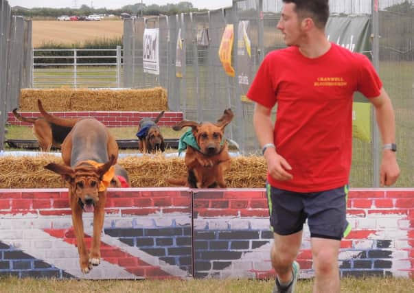 Runner Jordan Williams leads the hounds racing over the obstacles. Jordan Williams is set to raise money for Help for Heroes, taking part in a relay cycle ride on static and road rides from John O'Groats to Land's End on September 17-18. EMN-210830-130021001
