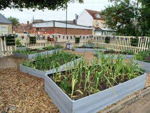 The community allotment at Sleaford Railway Station.