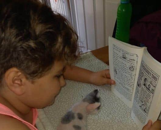 Amelia reads a story to Braid the rescued kitten. EMN-211009-165525001