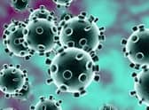 Coronavirus