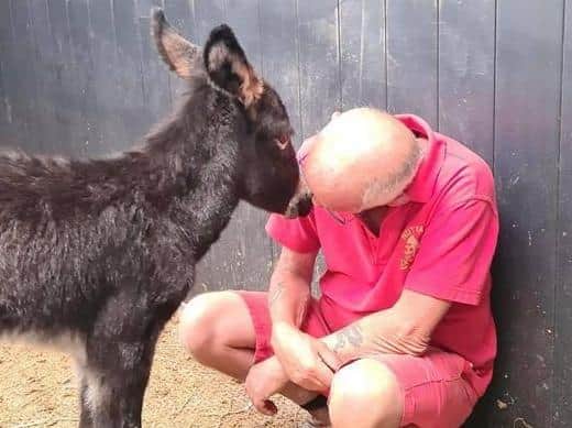 John Nuttall has been inspired to carry on thanks to the help of a donkey foal called Kye.