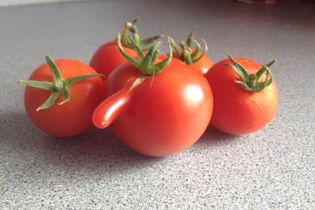 Our latest Reader Picture.