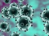 Coronavirus