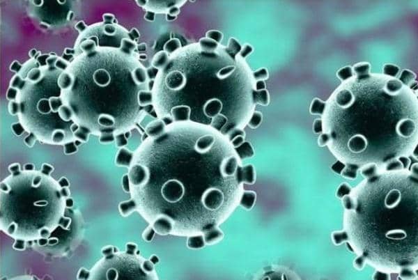 Coronavirus