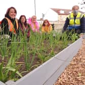 Poacher Line volunteers and members of Rainbow Stars at the new allotment on Sleaford station. EMN-210920-173912001