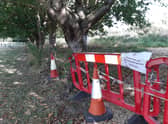 Off limits. Town councillors are coming up with a plan after it was discovered the new nature area created from a disused corner of Sleaford cemetery is contaminated with old asbestos particles. EMN-210923-145913001