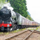 The Flying Scotsman steaming into Sleaford. Photo: Mark Suffield