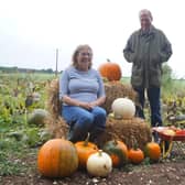 Clare and Mark Strawson with some of the pumpkins already picked EMN-210410-165805001