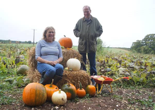 Clare and Mark Strawson with some of the pumpkins already picked EMN-210410-165805001