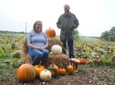 Clare and Mark Strawson with some of the pumpkins already picked EMN-210410-165805001