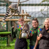 Wolds Wildlife Park celebrating Lincolnshire Day. EMN-210410-111703001