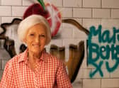 Red Nose Day The Traitors: BBC confirms Comic Relief parody will star Danny Dyer and Mary Berry