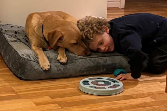 Loving bond - Sebby, six, and his support dog Albert.