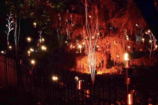 The Fire Garden