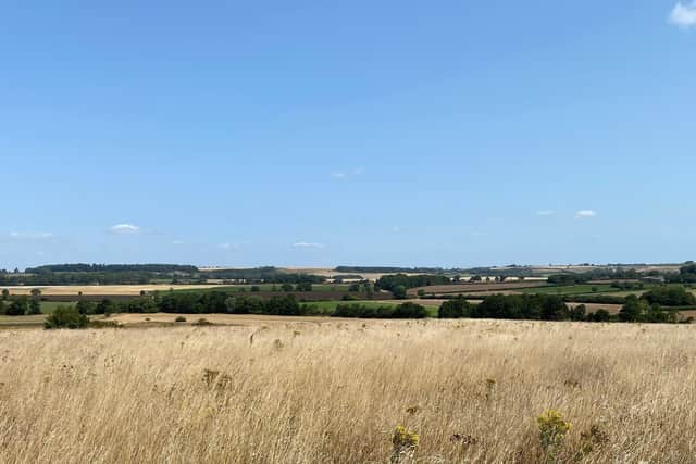 A new 102-hectare woodland is proposed near the village of Hagworthingham, on the edge of the scenic Lincolnshire Wolds National Landscape. Photo: Forestry Commission