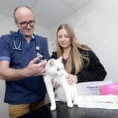 Richard Larkin, Eastfield Vets clinical director, microchipping a cat, assisted by Amy Appleton. Photo: Eastfield Vets