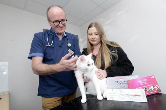 Richard Larkin, Eastfield Vets clinical director, microchipping a cat, assisted by Amy Appleton. Photo: Eastfield Vets