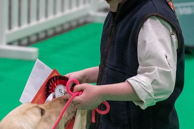 Elodie and Drift - the perfect partnership. Image: Nigel Kirby Photography