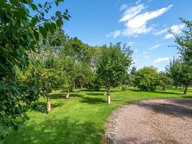 More of the grounds.
