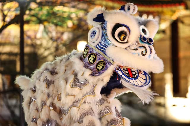 Lion dancing will be among the entertainment for the Chinese New Year event at the New Chapel. (Photo by Takashi Aoyama/Getty Images)